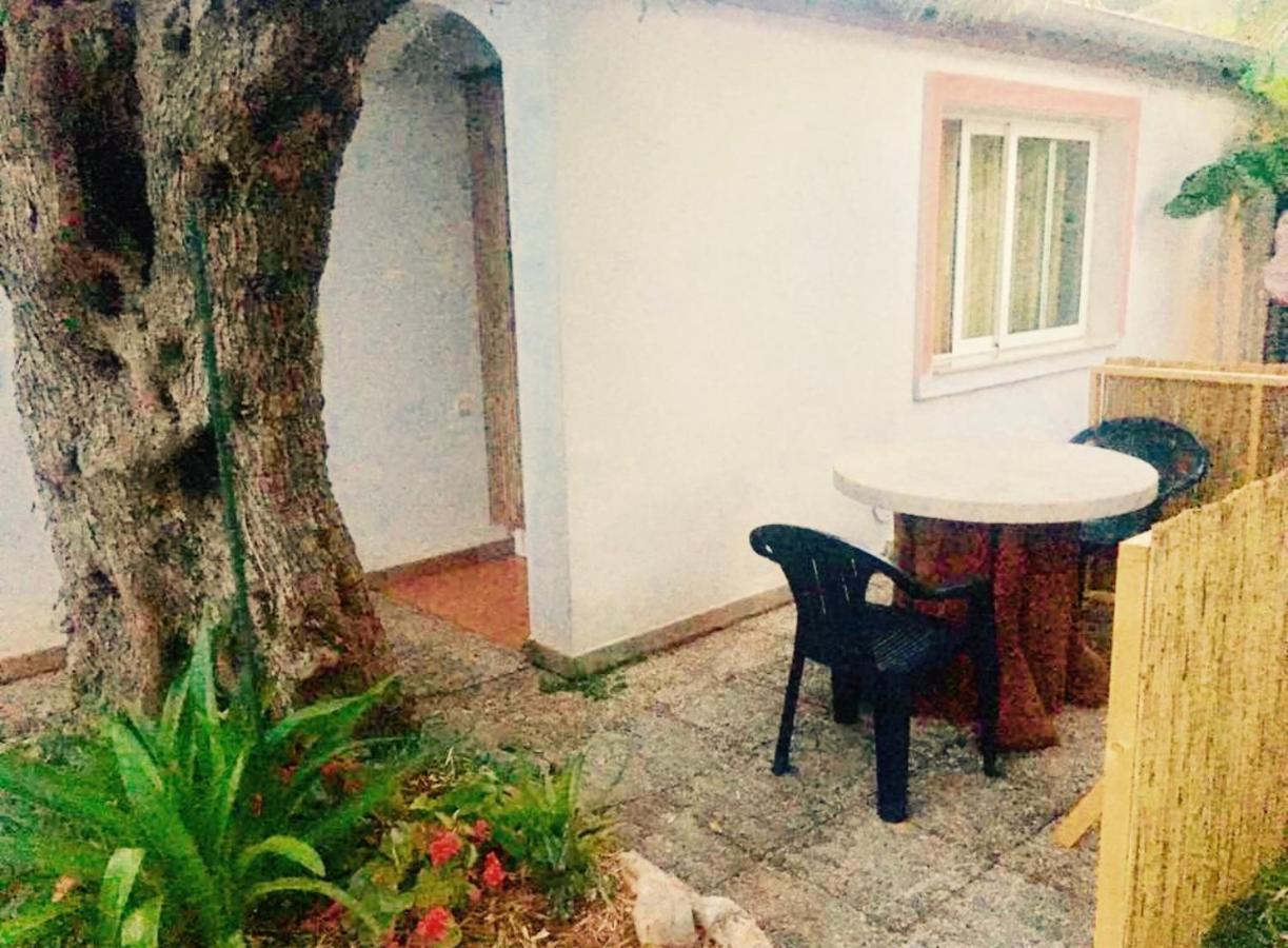 Olive Tree Apartments Rovinj Exterior photo